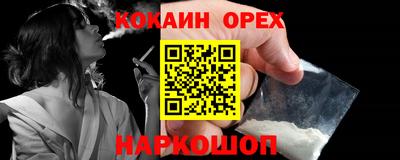 амф Кандалакша