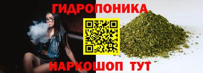 амф Кандалакша