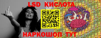 амф Кандалакша