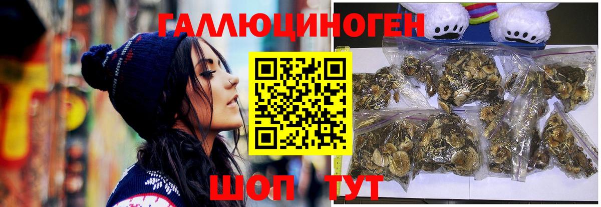 Чехов  Псилоцибиновые грибы Magic Shrooms  Вход с VPN 