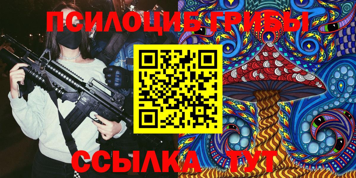 Псилоцибиновые грибы Cubensis Чехов